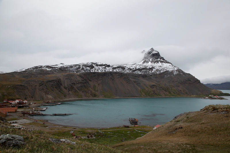 falkgeorgblog183.jpg
