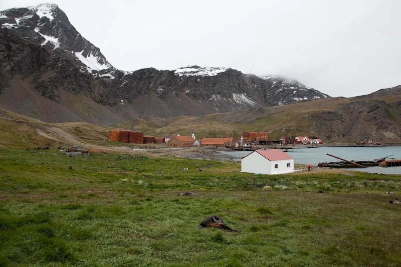 falkgeorgblog182.jpg