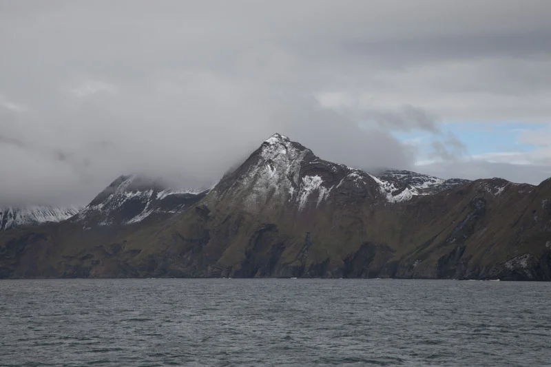 falkgeorgblog175.jpg