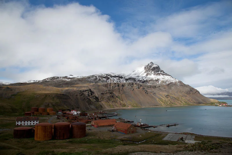 falkgeorgblog190.jpg