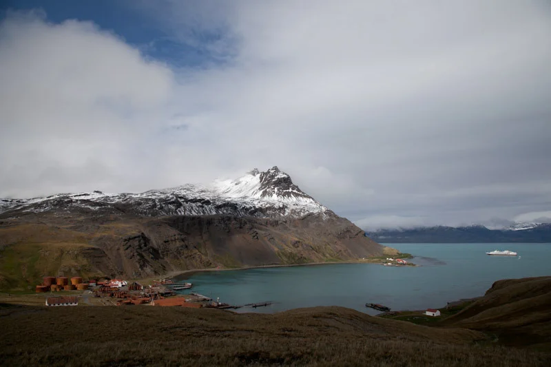 falkgeorgblog187.jpg