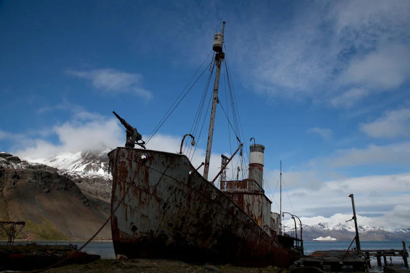 falkgeorgblog199.jpg