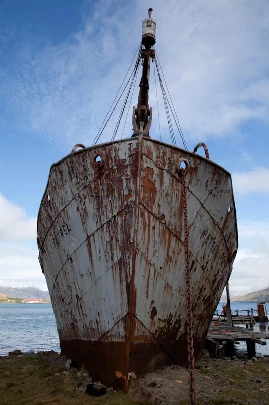 falkgeorgblog200.jpg