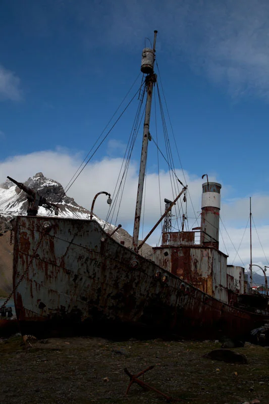 falkgeorgblog198.jpg