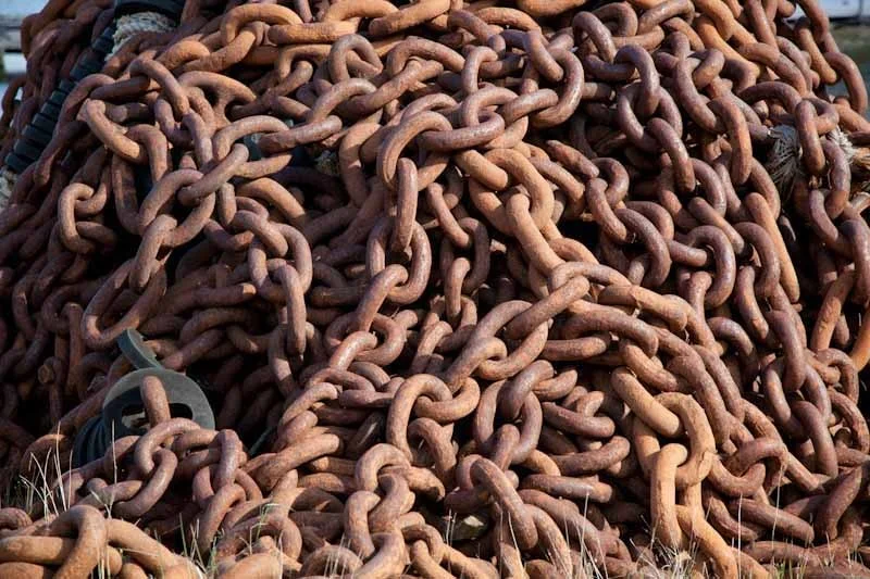 falkgeorgblog211.jpg