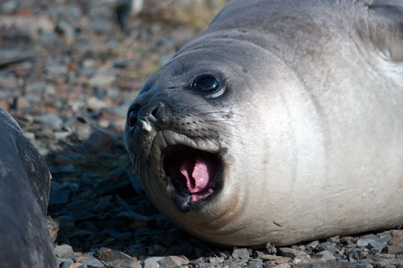 falkgeorgblog207.jpg