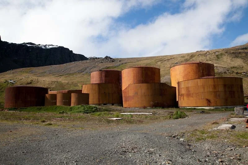 falkgeorgblog209.jpg