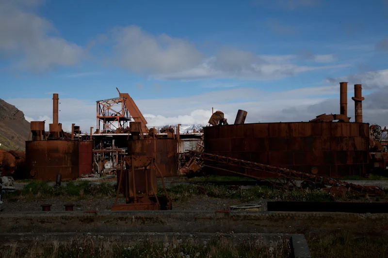 falkgeorgblog205.jpg