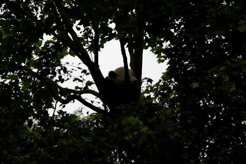 lechengdublog33.jpg