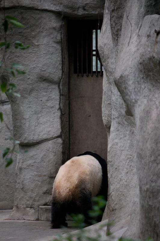 lechengdublog38.jpg
