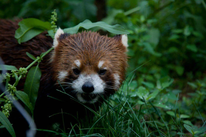 lechengdublog53.jpg