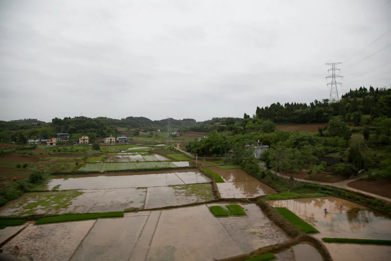 lechengdublog67.jpg