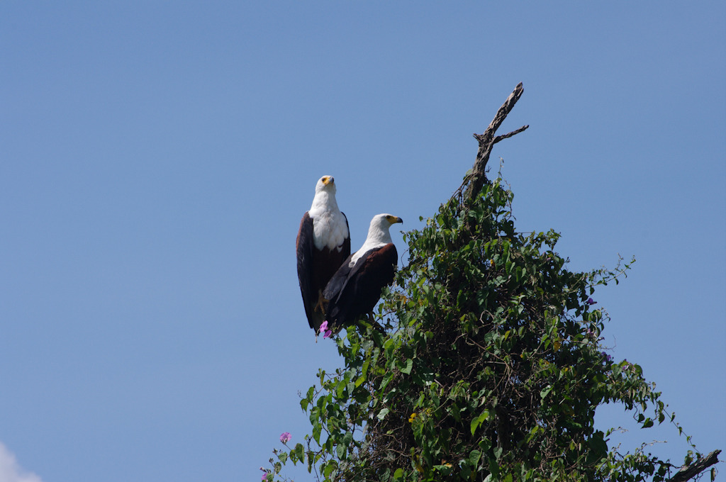uganda blog gallery-104.jpg