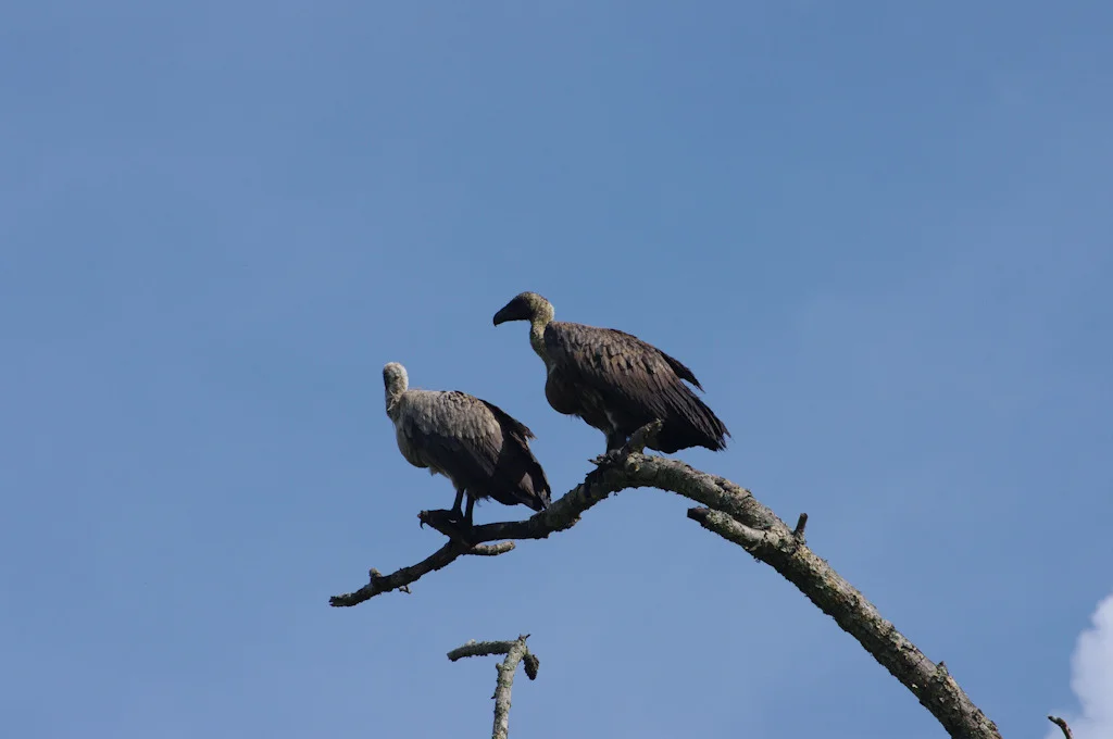 uganda blog gallery-109.jpg