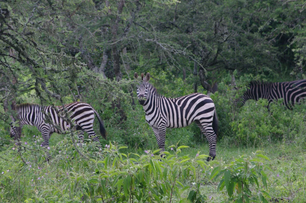 uganda blog gallery-107.jpg