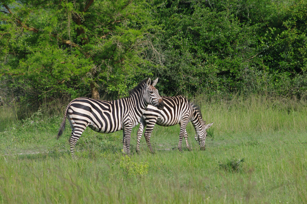 uganda blog gallery-112.jpg