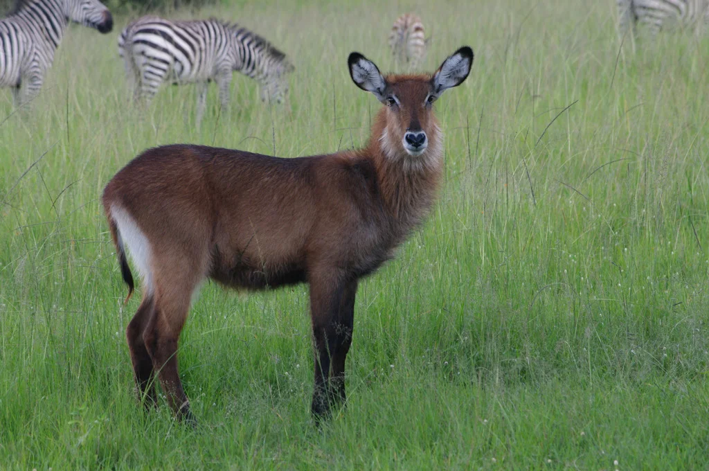 uganda blog gallery-110.jpg