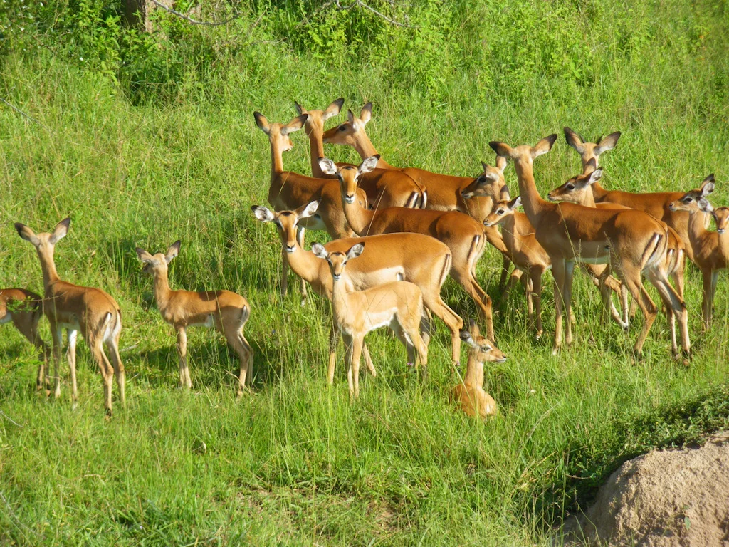 uganda blog gallery-120.jpg