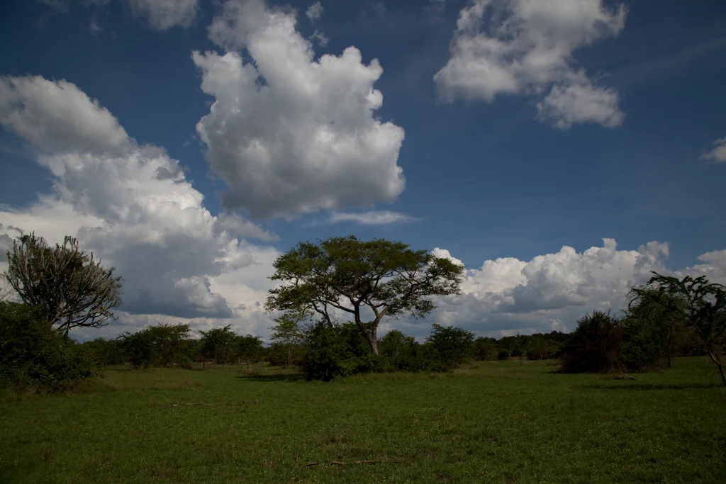 uganda blog gallery-117.jpg