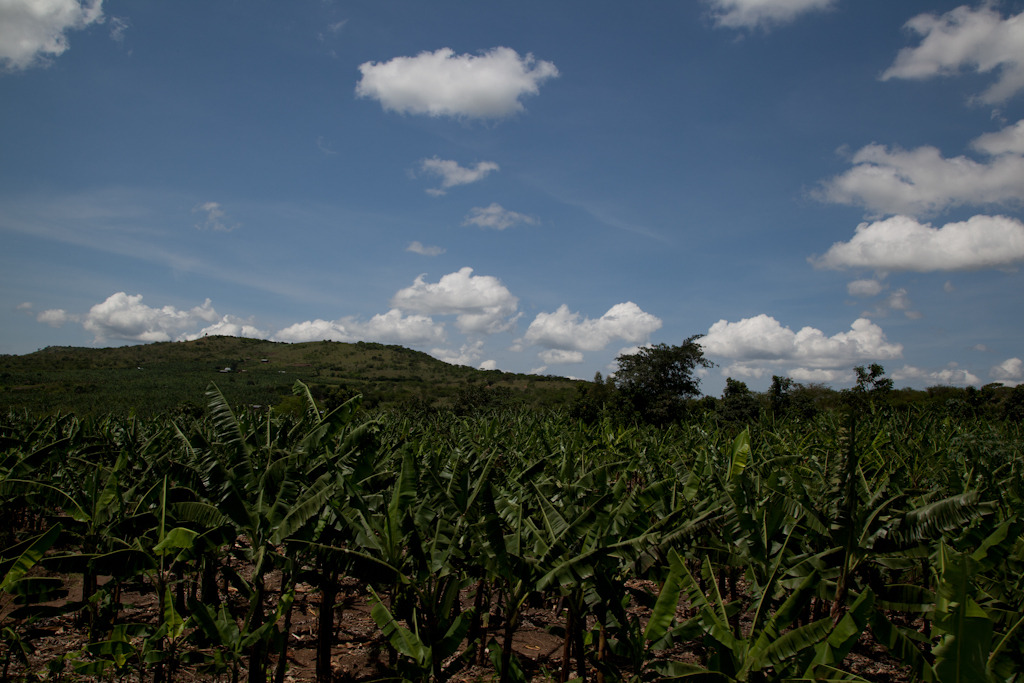 uganda blog gallery-116.jpg