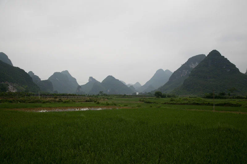yangshaoblog76.jpg