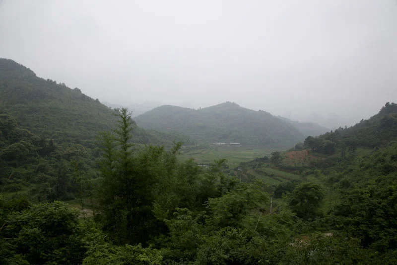 yangshaoblog01.jpg