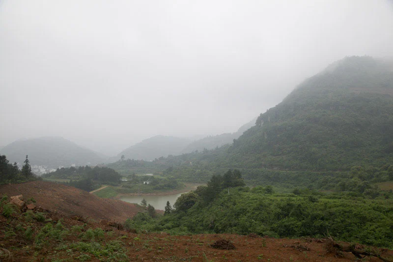 yangshaoblog03.jpg