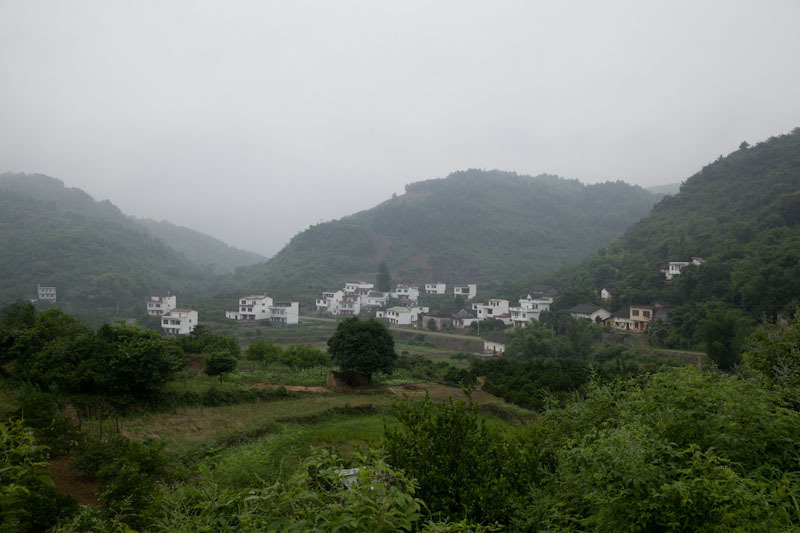 yangshaoblog02.jpg