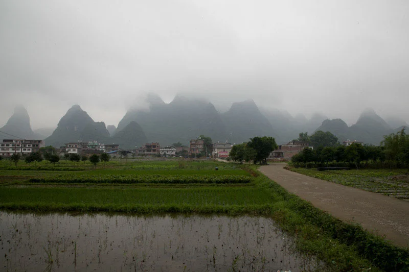 yangshaoblog11.jpg