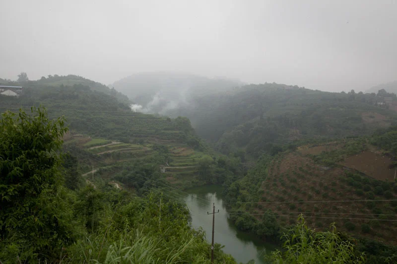 yangshaoblog09.jpg