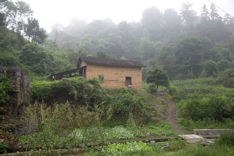 yangshaoblog07.jpg