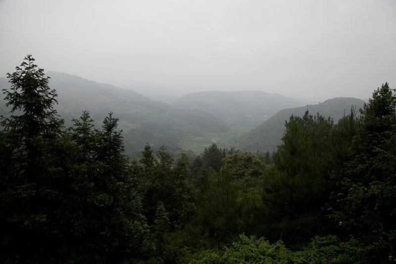 yangshaoblog05.jpg