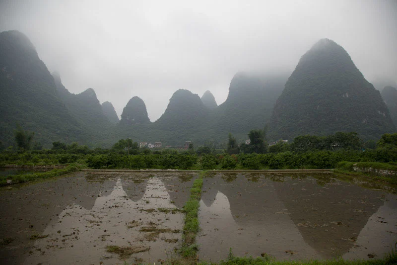 yangshaoblog21.jpg