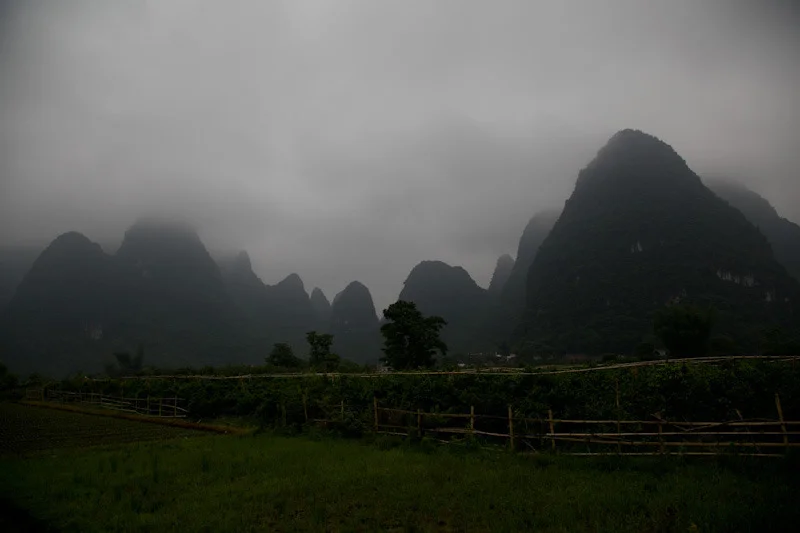 yangshaoblog20.jpg