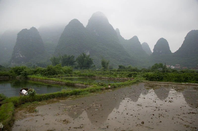yangshaoblog24.jpg