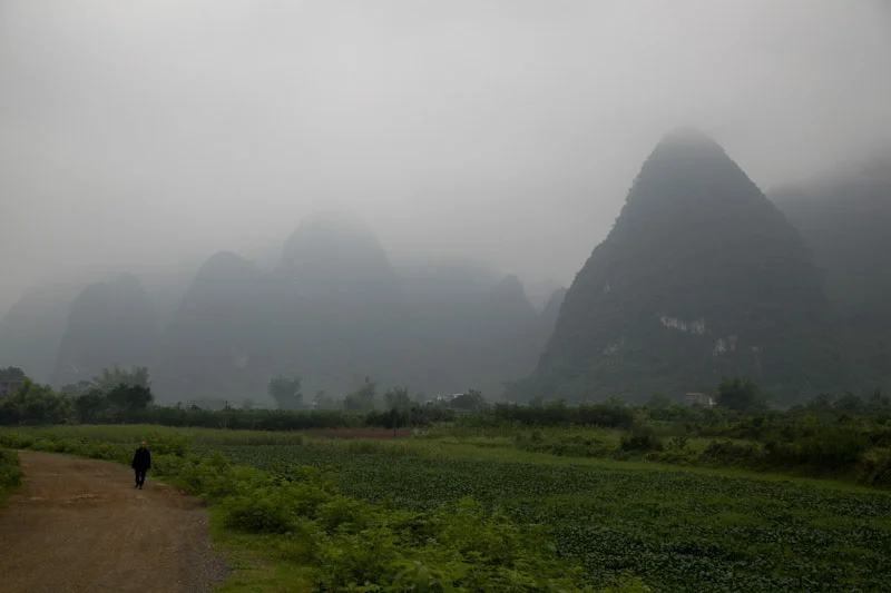 yangshaoblog19.jpg