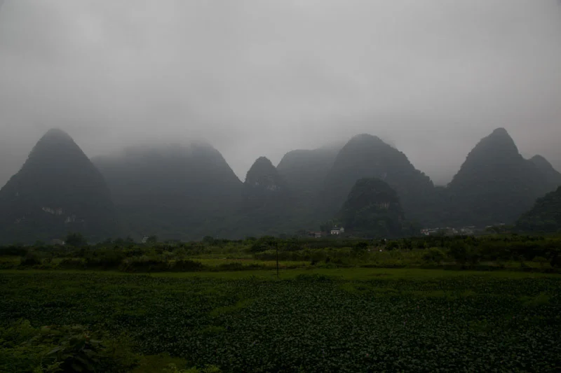 yangshaoblog18.jpg
