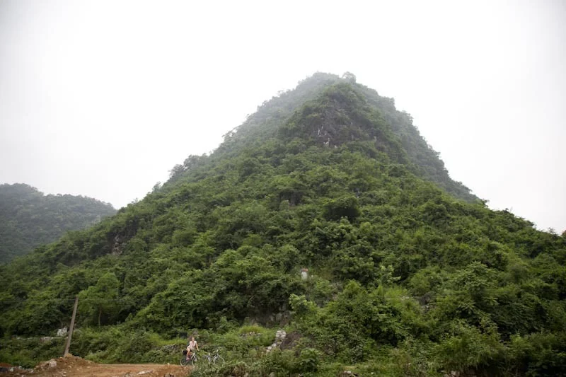 yangshaoblog17.jpg