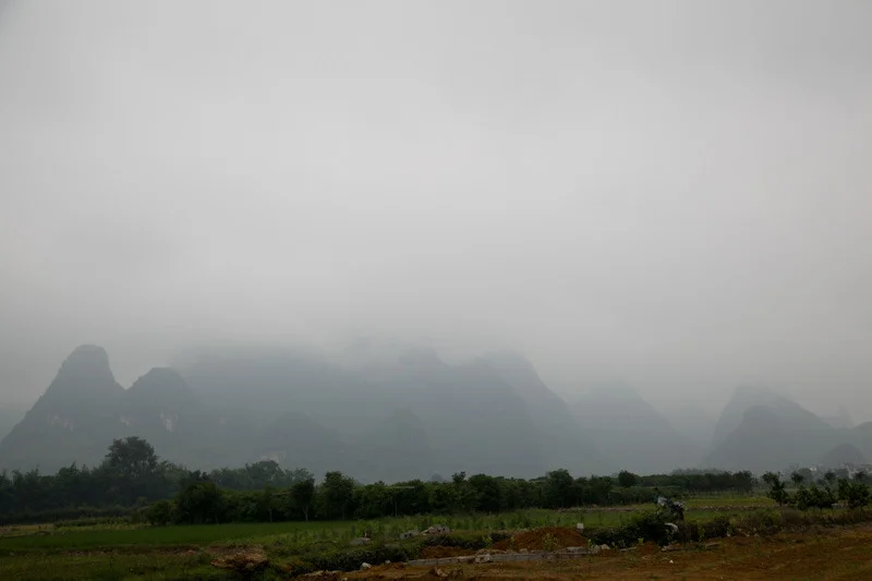 yangshaoblog16.jpg