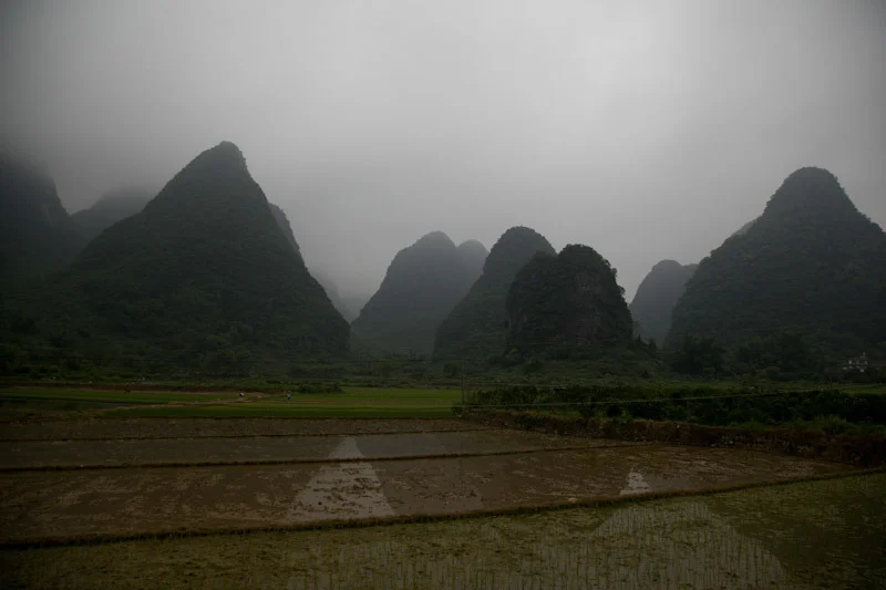 yangshaoblog31.jpg