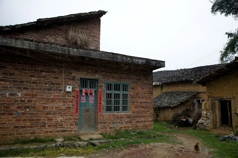 yangshaoblog26.jpg
