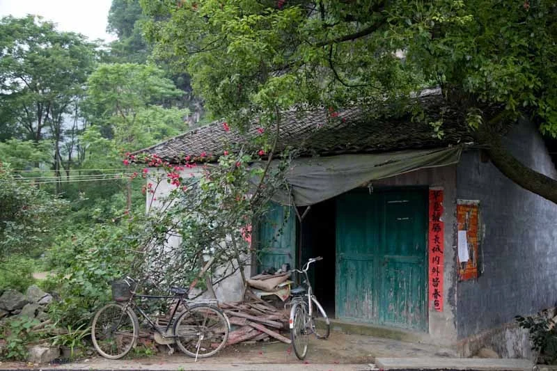 yangshaoblog30.jpg