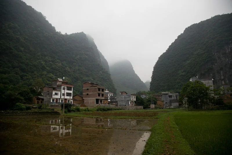 yangshaoblog29.jpg