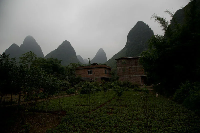 yangshaoblog28.jpg