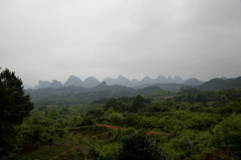 yangshaoblog40.jpg