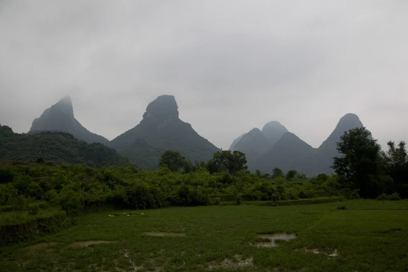 yangshaoblog39.jpg