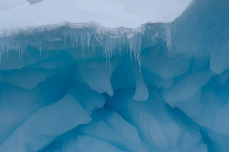 antarcticblogtwo12.jpg