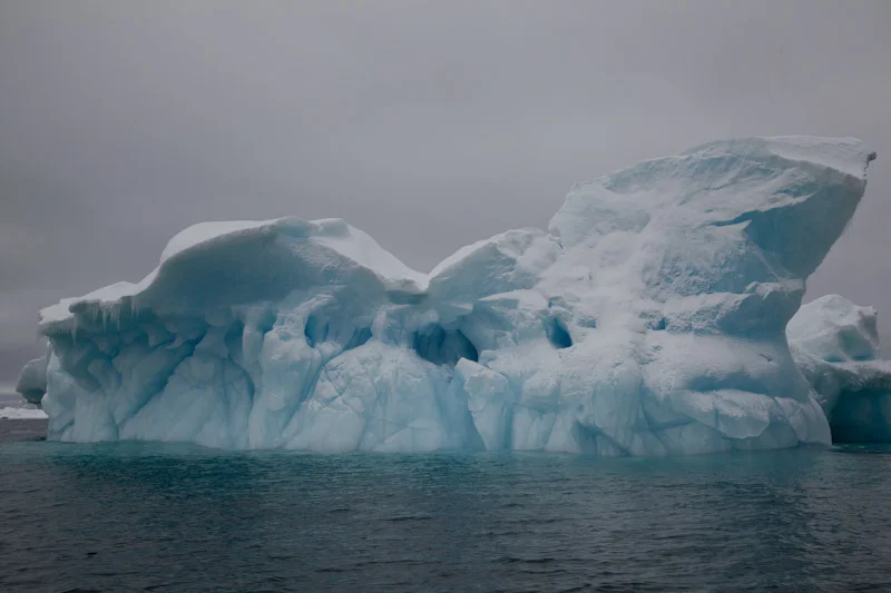 antarcticblogtwo13.jpg