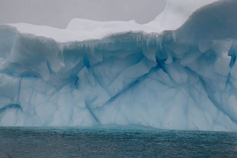 antarcticblogtwo14.jpg