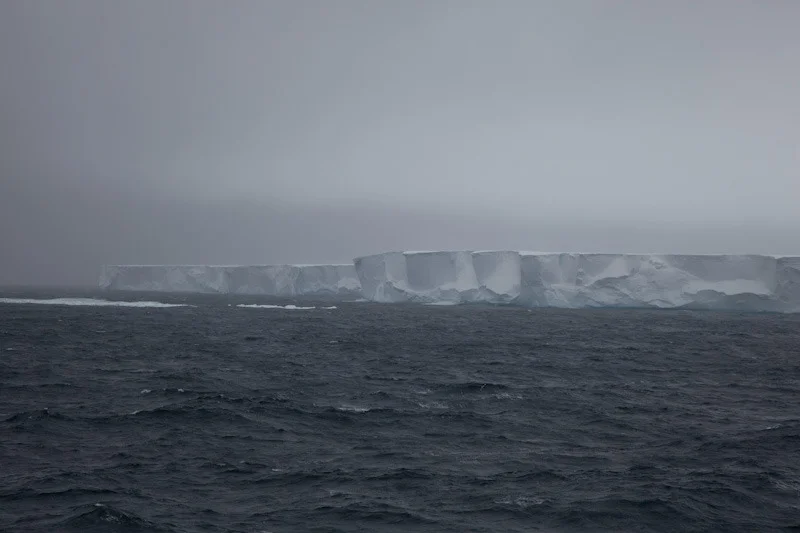 antarcticblogtwo3.jpg
